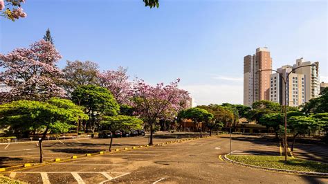 Top Londrina Centro Hotels (Londrina) from $20 .